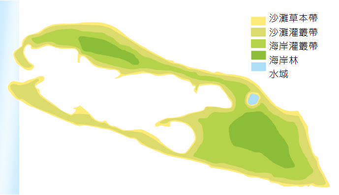 東沙島植物分布