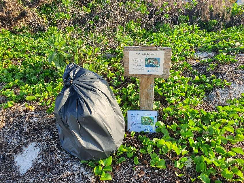 北岸N3海灘廢棄物調查後情形