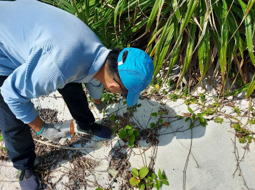 南岸S3海灘廢棄物調查中情形