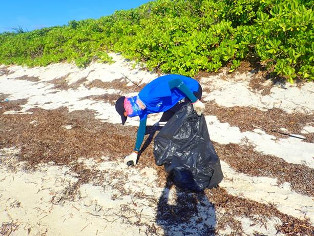 北岸N3海灘廢棄物調查情形