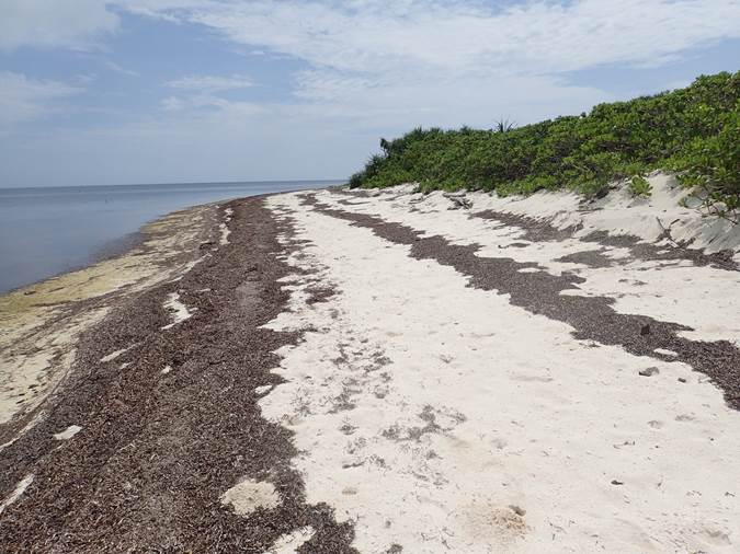 北岸N3海灘廢棄物調查後情形 北岸N3海灘廢棄淨灘後情形