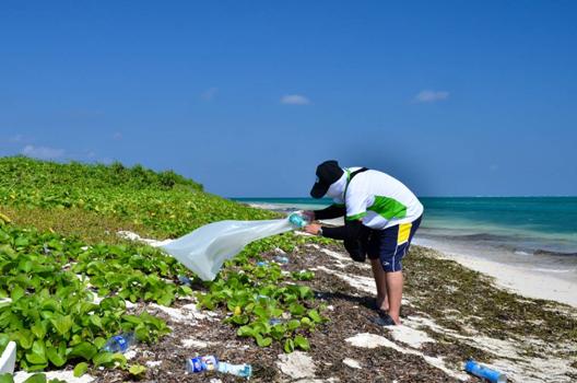 南岸海灘廢棄物撿拾調查情況